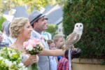 www.evergreengardenvenue.com.au harry potter wedding -Owl